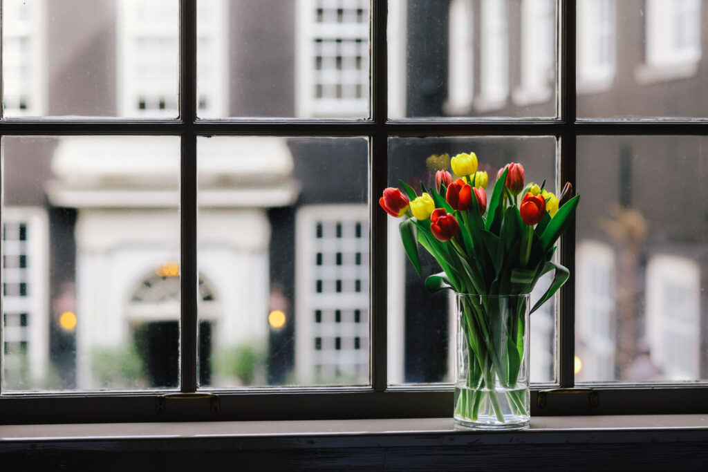 Tulips in spring at hotel Royal Gate Resort, a beautiful view